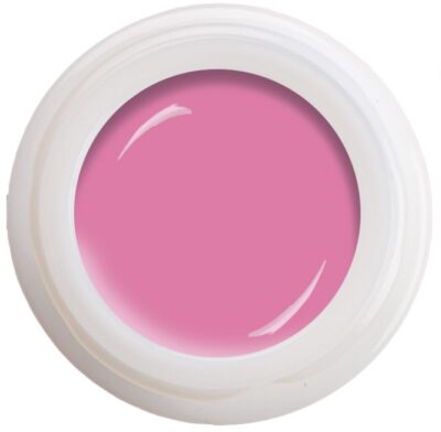 Party Island N°568